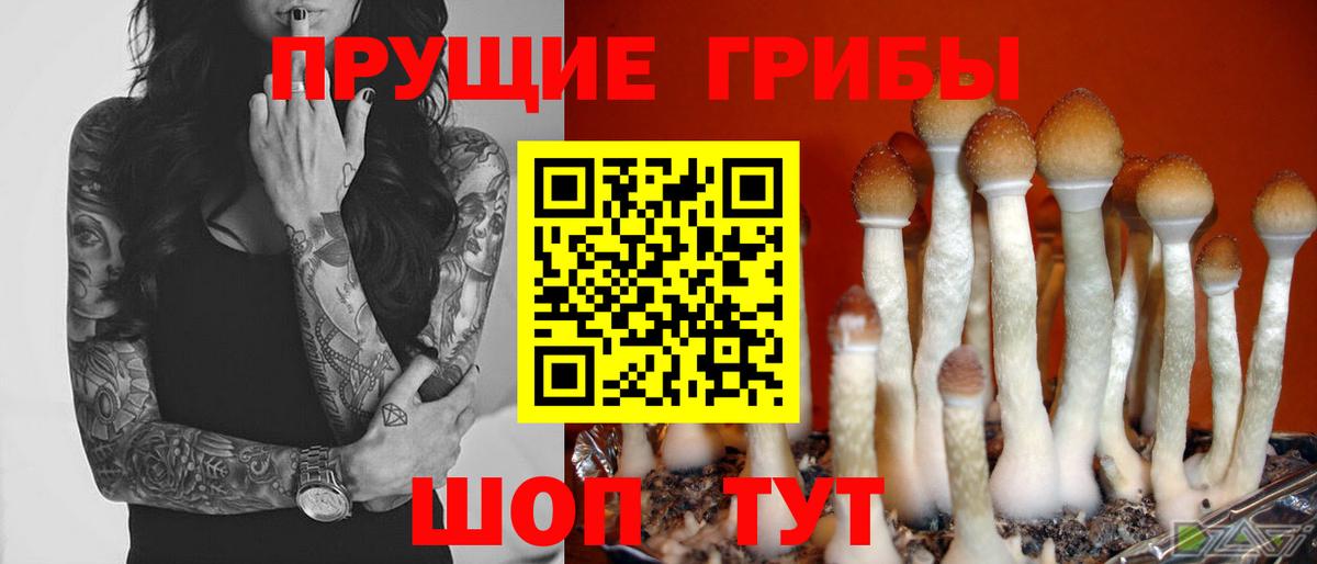 Ишим  где найти   Вход с VPN  Галлюциногенные грибы мухоморы 