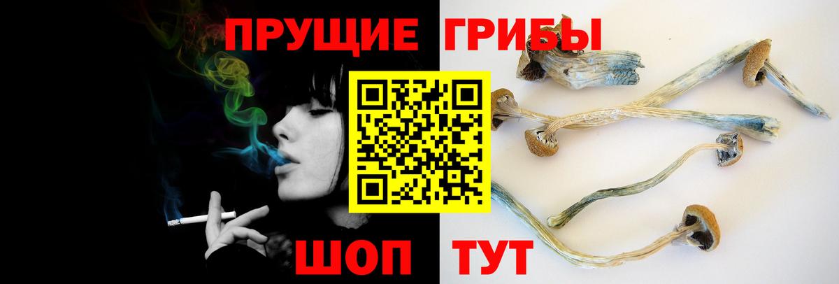 Псилоцибиновые грибы Magic Shrooms Ишим
